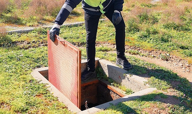 Didim’de Yıl Boyu Vektörle Mücadele: Dört Mevsim Planlı Saha Çalışmaları
