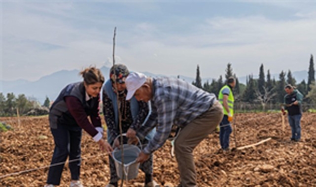 İzmir’de 70 Yaşındaki Çiftçinin Bahçesi Yeniden Yeşeriyor: 50 Ceviz Fidanıyla Umutlar Tazelendi