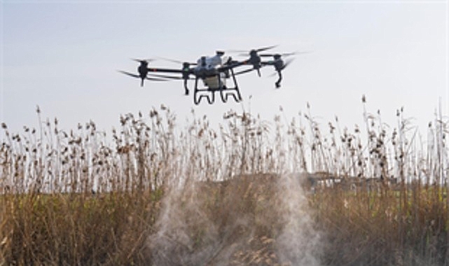İzmir’de Vektör Mücadelesinde Dron ve Amfibik Teknolojiler ile Yıl Boyu Operasyonlar