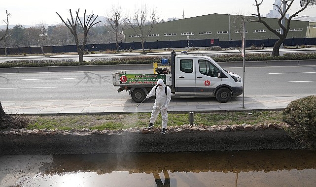 Keçiören’de Larva Mücadelesi ve Bordo Bulamacı Uygulamaları: Sineklerle Etkili ve Sürekli Savunma