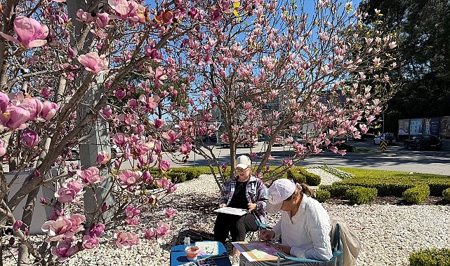 Kemer’de Manolya Ağaçlarıyla Turizm Sezonuna Renk Katan Peyzaj Çalışmaları