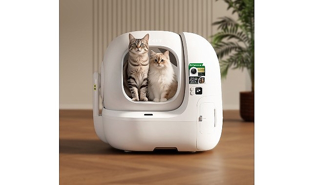 PETKIT PUROBOT MAX PRO 2 ile Kedilerde Sağlık Takibinin Yeni Dönemi