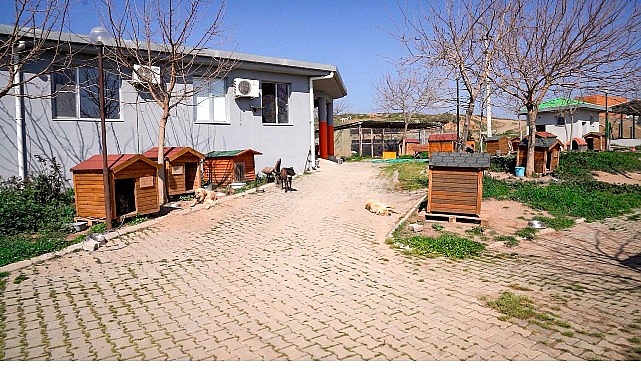 Seferihisar’da Mama Kompost Makinesiyle Gıda İsrafını Azaltan ve Sokak Canlarını Besleyen Sürdürülebilir Proje