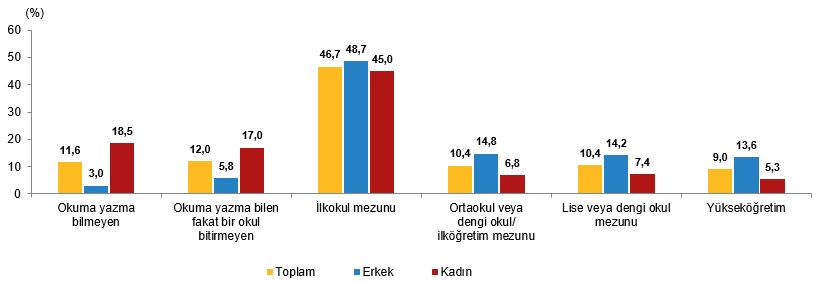 Türkiye’de Yaşlı Nüfusun Dinamikleri ve Toplumsal Etkileri (1950-2100) - Güncel Verilerle Yeniden Yorum