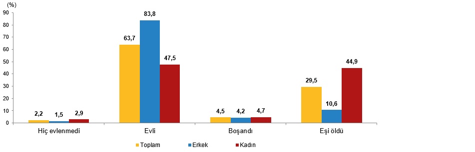 Türkiye’de Yaşlı Nüfusun Dinamikleri ve Toplumsal Etkileri (1950-2100) - Güncel Verilerle Yeniden Yorum