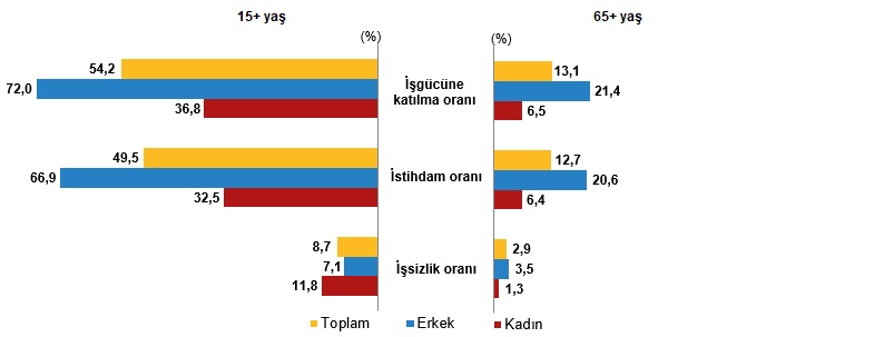 Türkiye’de Yaşlı Nüfusun Dinamikleri ve Toplumsal Etkileri (1950-2100) - Güncel Verilerle Yeniden Yorum