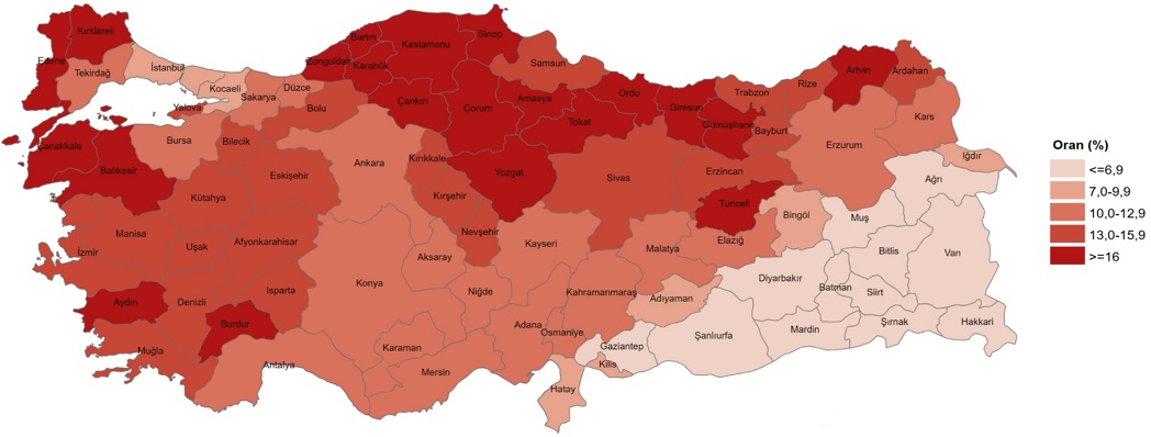 Türkiye’de Yaşlı Nüfusun Dinamikleri ve Toplumsal Etkileri (1950-2100) - Güncel Verilerle Yeniden Yorum