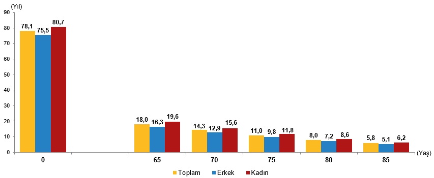 Türkiye’de Yaşlı Nüfusun Dinamikleri ve Toplumsal Etkileri (1950-2100) - Güncel Verilerle Yeniden Yorum