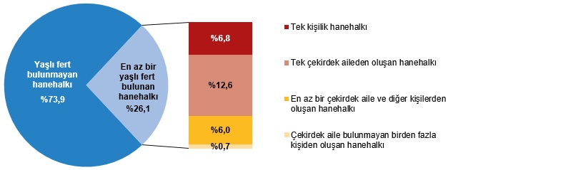 Türkiye’de Yaşlı Nüfusun Dinamikleri ve Toplumsal Etkileri (1950-2100) - Güncel Verilerle Yeniden Yorum