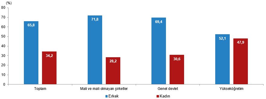 Türkiye’nin Kadın ve Erkek Nüfusu: Yaşam Süreleri, Eğitim ve İstihdamda Güncel Göstergeler