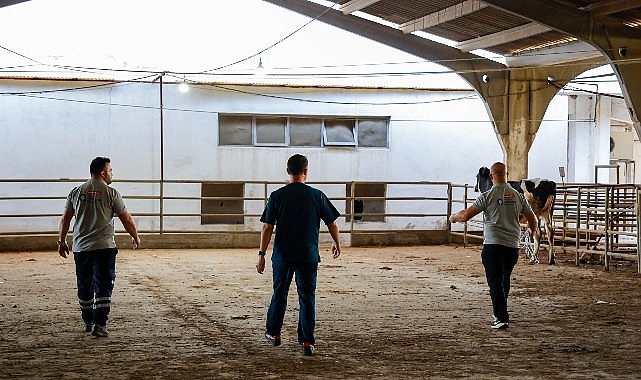 Antalya’da Kurban Yakalama Timleriyle Güvenli Müdahale Süreci