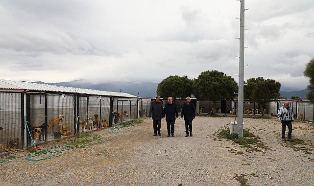 Edremit Belediyesi Sokak Hayvanlarına Dair Önemli Açıklama ve Yapılan Çalışmalar