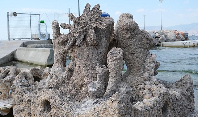 Körfez’de Atık Midye Kabuklarından Yapay Resifler: Deniz Yaşamını Yeniden Canlandıran Döngü