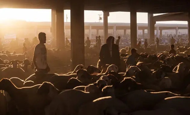 Kurban Bayramı İçin Geri Sayım: 9 Günlük Tatil Ne Zaman Başlıyor?