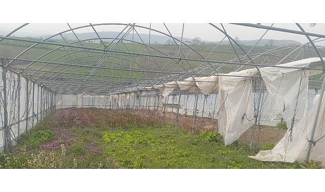 Sera Naylonu Desteğiyle Çiftçilere 244 Hatırlı Hibeli Destek ve Modern Sera Projesi
