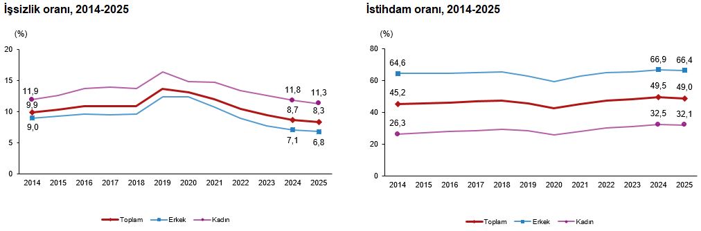 Türkiye İşgücü Göstergeleri 2025: İşsizlik ve İstihdamda Sonuçlar