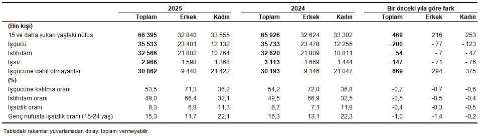 Türkiye İşgücü Göstergeleri 2025: İşsizlik ve İstihdamda Sonuçlar