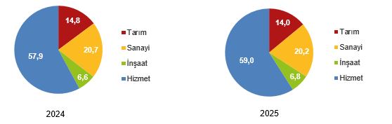 Türkiye İşgücü Göstergeleri 2025: İşsizlik ve İstihdamda Sonuçlar