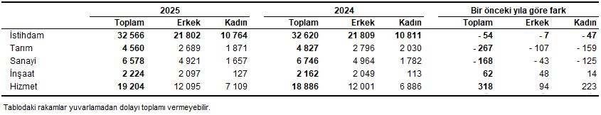 Türkiye İşgücü Göstergeleri 2025: İşsizlik ve İstihdamda Sonuçlar