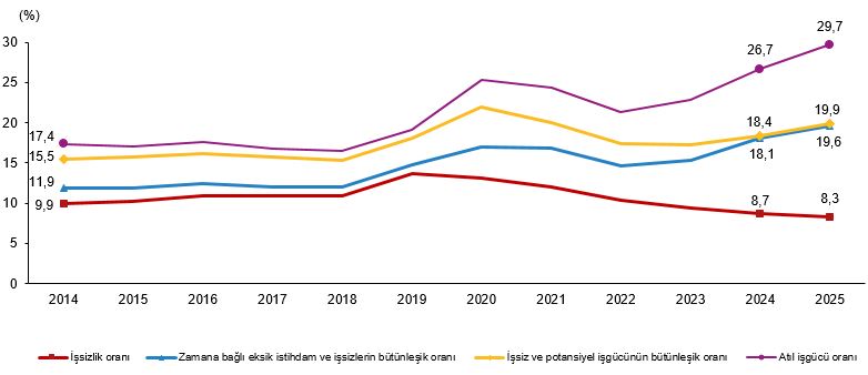 Türkiye İşgücü Göstergeleri 2025: İşsizlik ve İstihdamda Sonuçlar