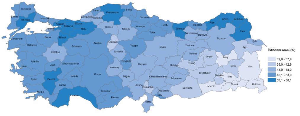 Türkiye İşgücü Göstergeleri 2025: İşsizlik ve İstihdamda Sonuçlar