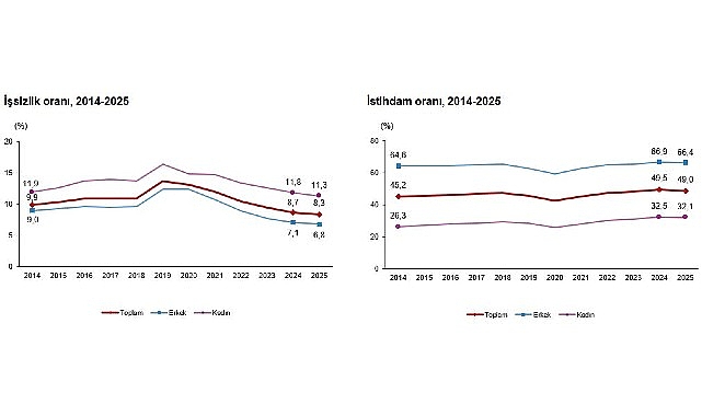Türkiye İşgücü Göstergeleri 2025: İşsizlik ve İstihdamda Sonuçlar