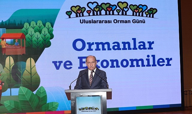 Türkiye ve Küresel Ormancılık: Ormanlar, Ekonomi ve Sürdürülebilir Kalkınma