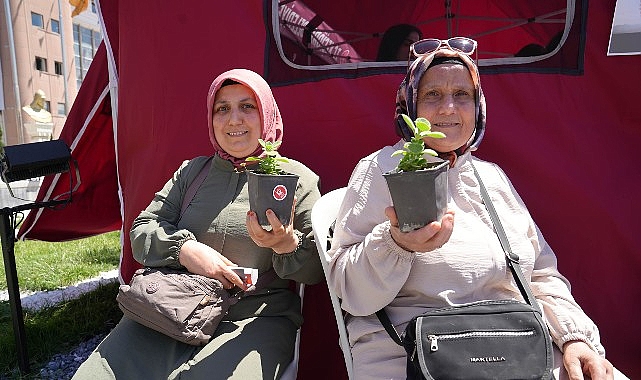Bağımlılıkla Mücadelede Bir Fidanla Başlayan Dayanışma: BADAM Etkinliği ve Mevsimlik Fidan Dağıtımı