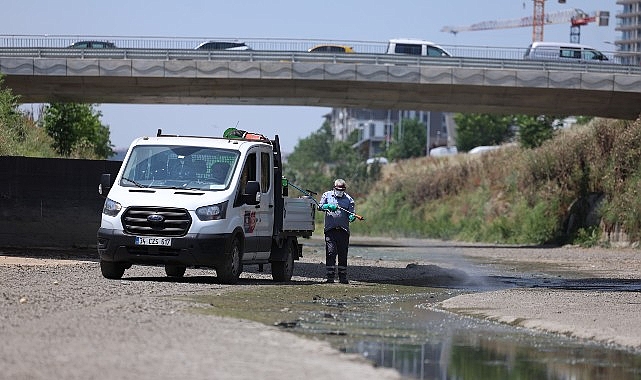 Bakırköy’de Sivrisinekle Mücadelede Yeni Aşama: Koordinasyon ve Kamu Bilinçlendirme