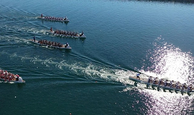 Dragon Festival Sağlık Ekipleri ve Katılımcı Güvenliği İçin Strateji ve Katılım Verileri