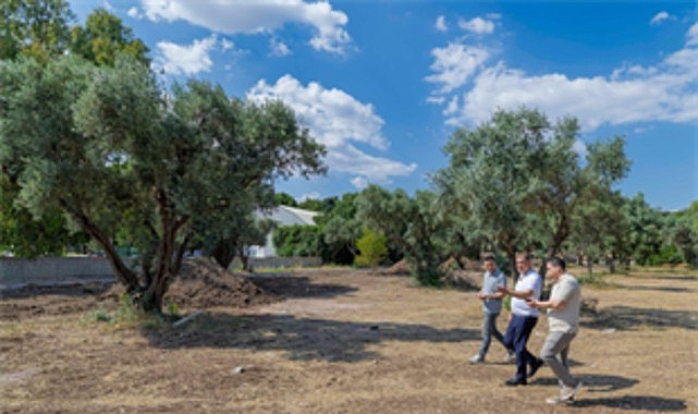İzmir’in Yeni Kent Parkı: Aliberti Köşkü Çevresi 22 Bin Metrekarelik Yaşam Alanına Dönüşüyor