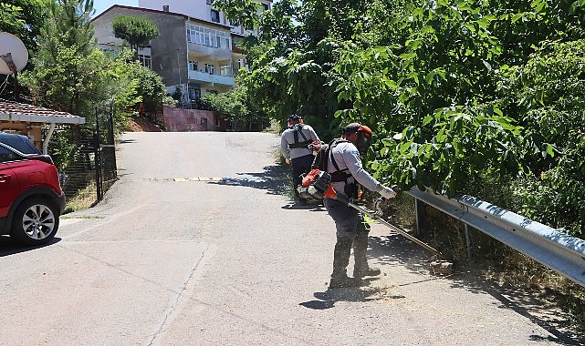 Maltepe’de Yaz Bakımı: Park ve Sokaklarda Yoğun Tırpan ve Temizlik Çalışmaları