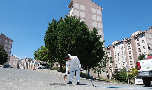 Osmangazi’de Haşere ve Kemirgenle Mücadelede Hızlı ve Koordine Çalışma