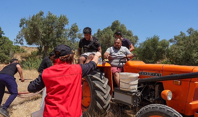 Akyeniköy Yangını: Hızlı Müdahale ve Koordinasyonla Kontrol Altında
