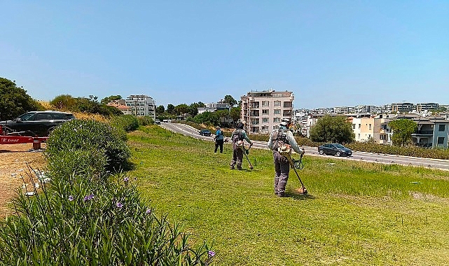 Didim’de Ot Biçme Faaliyetlerinde Yeni Dönem ve Kent Estetiği İçin Atılan Adımlar
