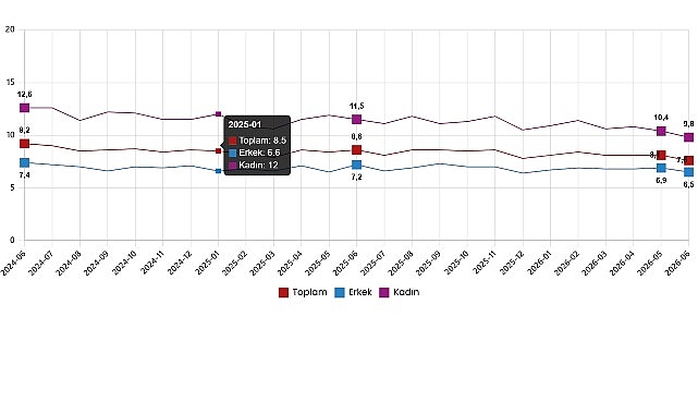 Haziran 2026 Türkiye İşgücü İstatistikleri: Mevsimsel Düzeltmelerle Güncel Tablo