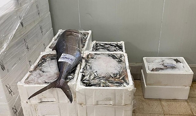İzmir’de Su Ürünleri Denetimi Sıkı Takipte: 241 Kilogram Yasadışı Ürün Ele Geçirildi