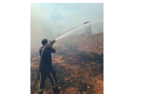 Kepez Çamlıca Mahallesi’nde Orman Yangını: Ekipler 4 Saatte Kontrol Sağladı