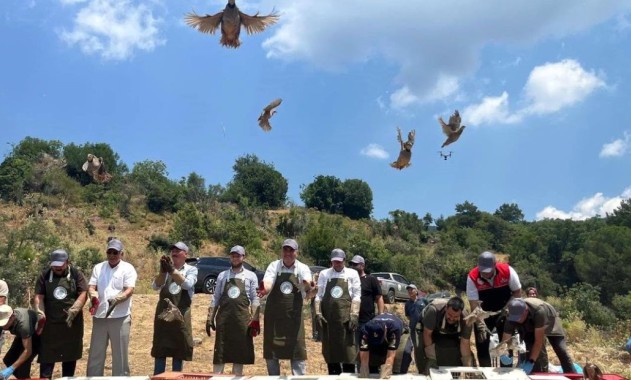 Havran’da Doğal Yaşama Destek: Yetiştirilen Keklikler Doğaya Salındı