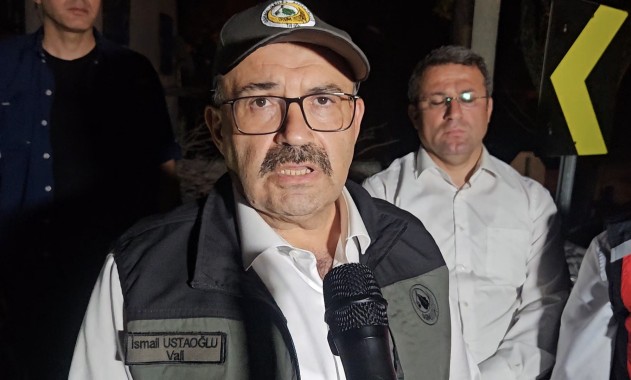 Balıkesir’de Orman Yangını: 658 Personel ile Müdahale Sürüyor, Can Kaybı Yok