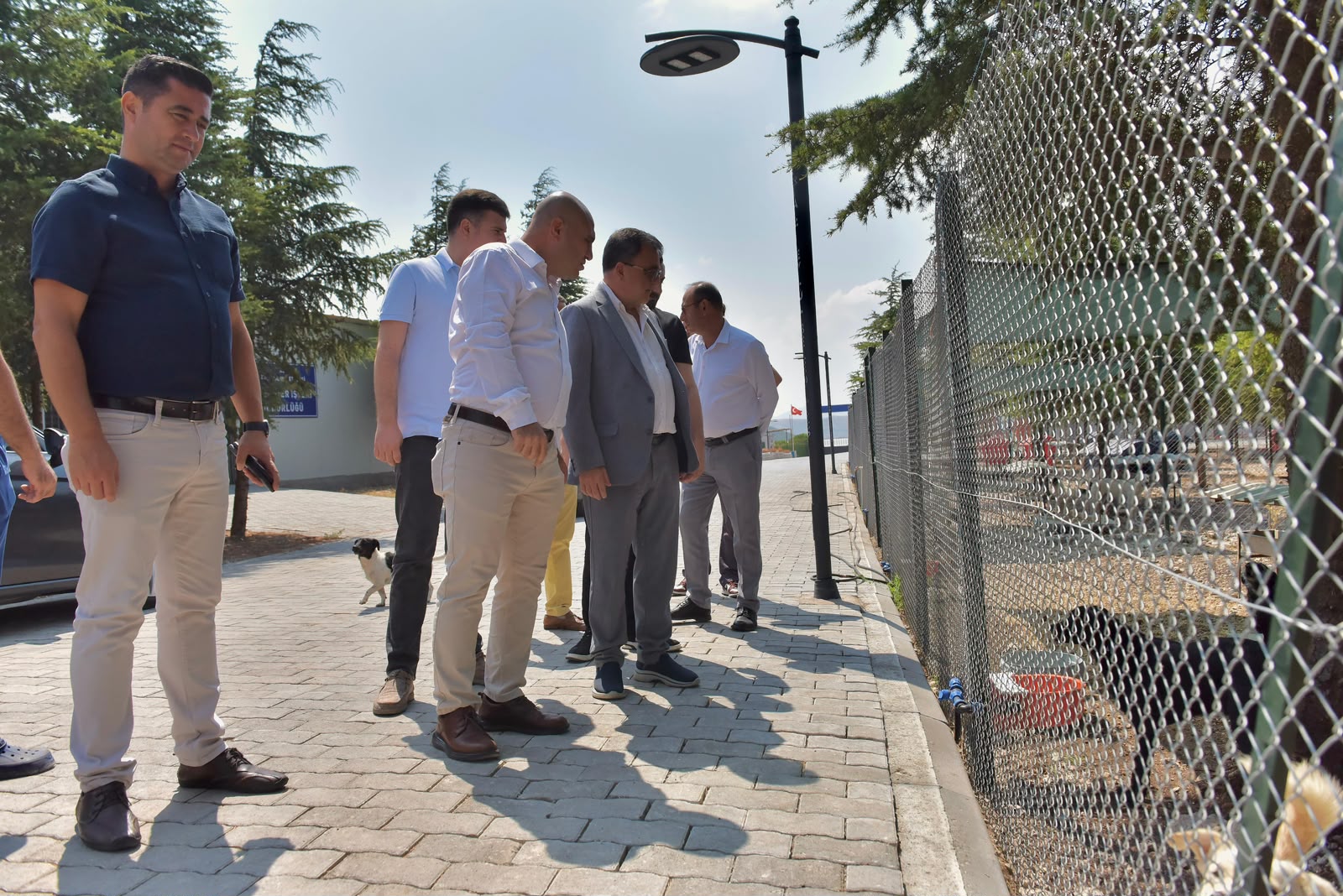 BAŞKAN HAKAN ŞEHİRLİ HAYVAN BAKIMEVİ’Nİ ZİYARET ETTİ