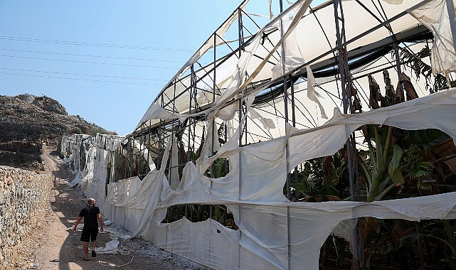 Antalya Büyükşehir Belediyesi: Yangın Sonrası Çiftçilere Sera Naylonu Desteği