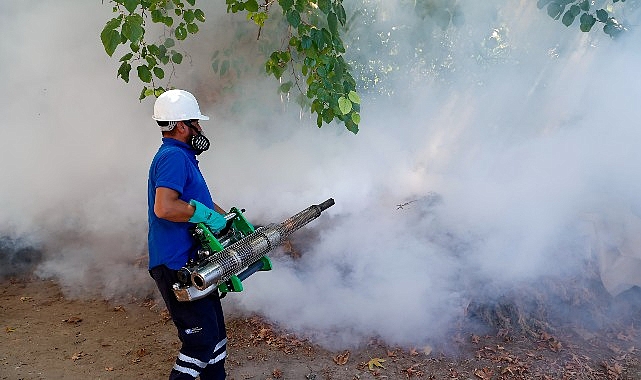 Antalya’da Vektörle Mücadele: Yoğun ve Sürekli Önlemlerle Sivrisinek, Karasinek ve Hamamböceğiyle Savaş