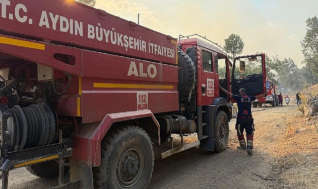 Aydın Büyükşehir Belediyesi Ekipleri Orman Yangınıyla Mücadelede Koordineli Çalışıyor