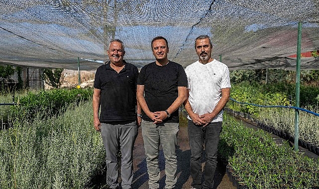 Bornova’da Lavanta Parkı İçin İlk Adımlar Atıldı: Fidanlık Ziyareti ve Boş Arazide Yeni Yeşil Alan İçin Taşlar Yerinde