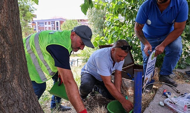 Buca’da Sokak Hayvanları İçin Otomatik Su Kaplarıyla Dayanışma