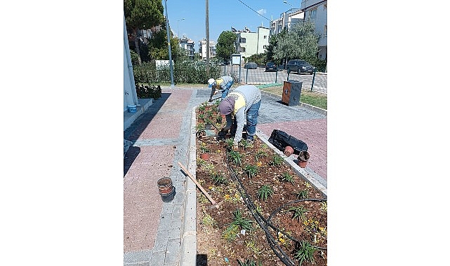 Didim Belediyesi Fidanlığı: Üretimle Kentin Yeşil Dokusunu Zenginleştirmek