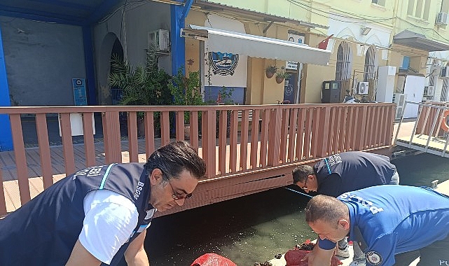 Izmir’de Yasa Dışı Kara Midye Avcılığına Yönelik Denetimlerle Egemenlik ve Sürdürülebilirlik Sağlanıyor