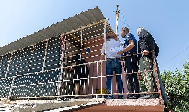 Kedi Şahadetine Dönüşen Çöp Ev Olayı: 100 Kedinin Hayvan Bakımevi’ne Teslimi
