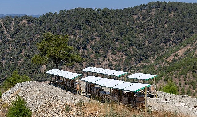 Manavşa Arı Merası ve Ekolojik Tarım Havzası: İklim Krizine Dirençli Sürdürülebilir Arıcılık İçin Yol Haritası